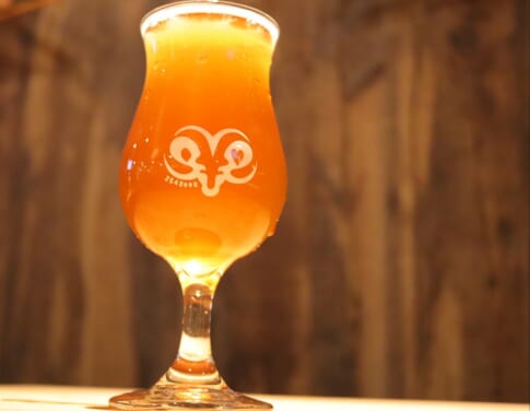 254ビールさんの表紙