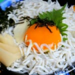 魚小路のシラス丼の写真